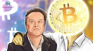 Bitcoin plummeted by more than 10 per cent on thursday evening after one of the world's richest men and tesla founder, elon musk announced the electric car maker would stop accepting. Elon Musk S Bitcoin Spree Hypes Crypto Executives Cryptonetwork News Cnwn