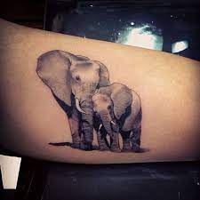 Elephant Tattoos Elephant Family Tattoo Elephant Tattoo Small Elephant Tattoo