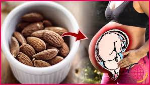 ▷Peut-On Manger Des Amandes Pendant La Grossesse ? ✔️ Lizengo.fr - 【 2022 】