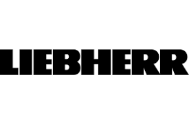 Draxler goal scored during schalke vs köln after 4 minutes on football manager 2013. Draxler Kuchen Stilpunkte