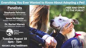Until this message is removed, pictures of nyc are permitted in r/nyc providing that they meet our standards for quality. Introducing Acc Animal Care Centers Of Nyc Acc Facebook