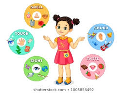 1 Sense Organs For Kids Five Senses For Preschool And