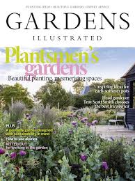 Salvia leucophylla x clevelandii 'pozo blue'. Gardens Illustrated Issue 05 2020
