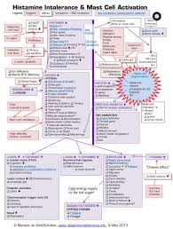 lewy land health revolution part 1 diving into