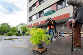 Bildergebnis für Lotte Schreiber