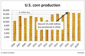 u s d a sees corn production down slightly soybeans up 4 4