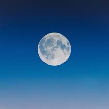 ) ist der zeitpunkt, zu dem sonne und mond in opposition zueinander stehen, also von der erde aus gesehen in entgegengesetzten richtungen. Horoskop Vom 18 August Annabelle