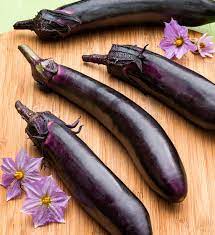 Ichiban Japanese Eggplant Big Yields Long Slender Fruit