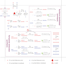 The Origin Of Biological Homochirality Along With The Origin Of Life