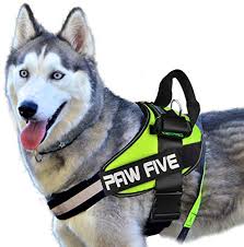 Paw Five Core 1 No Pull Easy Walk Reflective Dog Harness With Built In Waste Bag Dispenser Adjustable Padded Control For Medium And Large Dogs Check