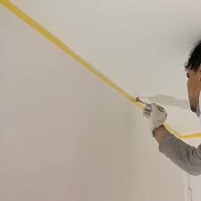 Plafond Verven Colora Be