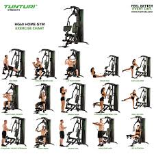 tunturi home gym hg60