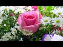 Can one conceive of any reason for a flower's beauty excepting our ability to enjoy their exquisite splendor? Romantic Love Songs Instrumental Hits Beautiful Roses Amazing Flowers Beautiful Flowers
