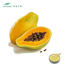Das nährstoffgeladene fruchtfleisch der papaya enthält papain, ein proteinspaltendes enzym, das die verdauung fördert. Cgmp Hersteller Liefern Papaya Frucht Extrakt Papaya Saft Konzentrat Papaya Saft Pulver Buy Papaya Fruit Extract Papaya Saft Konzentrat Papaya Saft Pulver Product On Alibaba Com