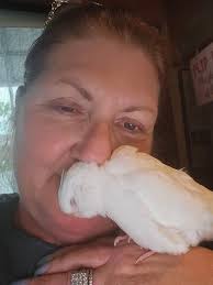 Missouri Birds Lost and Found