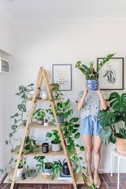 10 Apartment Gardening For Beginners Plant Decor Indoor Plant Decor House Plants Indoor