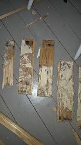 Image result for site:byggahus.se rötskada