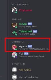 Menambahkan Dan Menggunakan Ayana Bot Discord Cemiti Musik Lagu Youtube