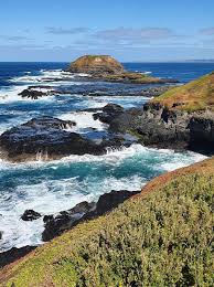 The Nobbies Or Seal Rocks Phillip Island Victoria Australia In 2021 Phillips Island Seal Rock Australia