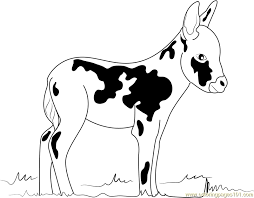 Coloring pages are a great means of allowing your child to share their ideas, views and perception through artistic and advanced techniques. Miniature Donkey Coloring Page For Kids Free Donkey Printable Coloring Pages Online For Kids Coloringpages101 Com Coloring Pages For Kids