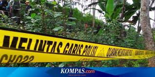 Salin tautan ke google pencarian sewa villa 012 cisarua puncak taman safari 6 kamar dekat taman safari 10 menit harga. Tumbuh Subur Di Kawasan Puncak Tanaman Khat Dimusnahkan