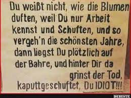 Mesa selimovic zitate auf deutsch. Mesa Selimovic Mehmedselimovic Profil Pinterest