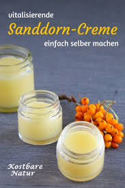 Heilsalben selbst herstellen mit dem thermomix. Vitalisierende Sanddorn Creme Einfach Selber Machen