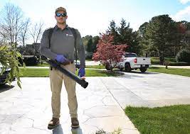 From a bedbug infestation to termite damage, pests and rodents can significantly harm homes in nashville. Tennessee S Top Rated Local Pest Control Companies Award Winner Cleardefense Pest Control