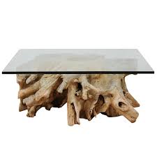 The new discount codes are constantly updated on couponxoo. European Tree Root From 19th Century Fashioned Into Coffee Table Chairish