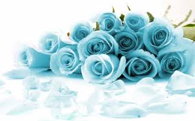 Find the best light blue flower wallpaper on getwallpapers. Blue Roses Widescreen Light Blue Rose 1920x1200 Wallpaper Teahub Io