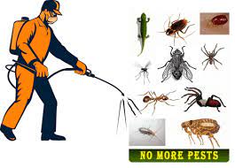 Maybe you would like to learn more about one of these? Why Pest Control Is Necessary For Ecology And Human Health