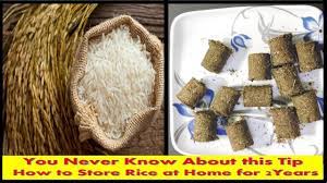 Rice truly is a great addition to your food storage needs for emergency preparedness and keeping. How To Store Rice At Home Minimum Two Years Without Insects And Warms Youtube
