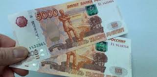 09:28 в грозном отловлено более 500 бродячих собак 0 7qir2jv7yvmp M