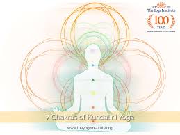 Image result for chakras