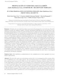 PDF) 4. Propagación in vitro del sauce llorón (Salix babilonica Lin.) a  partir de segmentos nodales