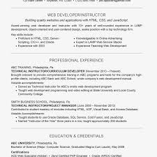 Web Developer Resume With Summary Statement Example
