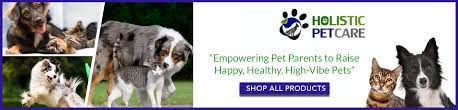 Colloidal silver is the amazing long lost remedy that has been credited with curing everything from ear infections to lyme disease in both people and pets. Naturopathy For Pets Holistic Pet Care