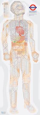 Map internal organs human anatomy. A Subway Map Of Human Anatomy All The Systems Of Our Body Visualized In The Style Of The London Underground Open Culture
