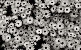 We have 78+ amazing background pictures carefully picked by our community. Aesthetic Minimalist Black And White Desktop Wallpaper Allwallpaper