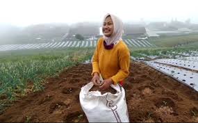 We did not find results for: Penyanyi Dangdut Cantik Boyolali Yang Banting Setir Jadi Petani Ogah Balik Manggung Ini Alasannya