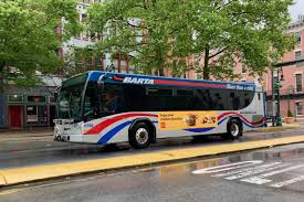 Image result for Bussea