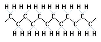 Image result for Fatty Acid