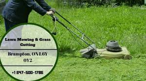 You can order 5 visits and receive a free surface insect inspection and a natural kelp biostimulant to. Onthegreen Landscaping Inc Home