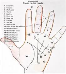 28 Best Palm Reading Charts Images Palm Reading Palm