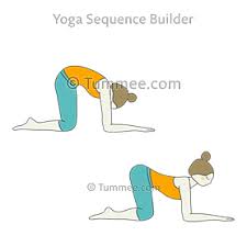 Cat Cow Pose Forearms Yoga Bitilasana Marjaryasana Forearms Yoga Sequences Benefits Variations And Sanskrit Pronunciation Tummee Com Backbend Yoga Poses Cow Pose Cat Cow Pose