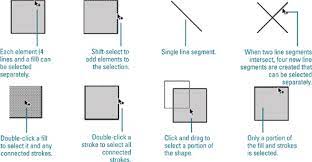 Using The Polystar Tool | Creating Graphics In Adobe Flash Cs3 Professional  | Informit
