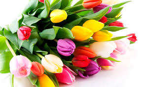 V Ukraine Menyayut Format 8 Marta Kak My Otprazdnuem Zhenskij Den V 2019 Godu Tv Ua