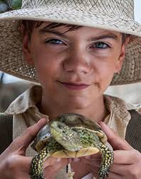 The Books Behind the Period Drama • The Durrells of Corfu