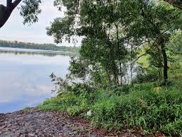 Little guilin and the former granite quarries of singapore. Muddy Path Picture Of Tampines Quarry Singapore Tripadvisor