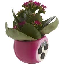 Plante Cache Pot Magnetique Cache Pot Plante Pots